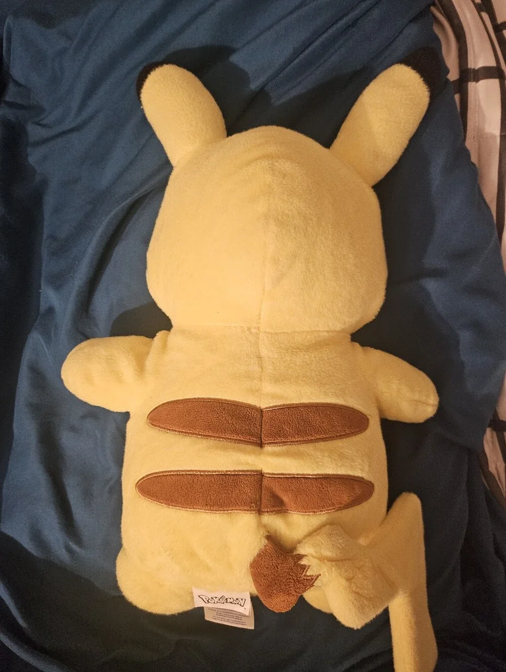Pokemon soft pikachu